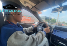Đào Tạo Lái Xe Tại Quận 11
